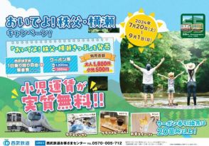 西武 おいでよ秩父・横瀬きっぷ 発売