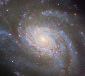 超新星輝く“しし座”の渦巻銀河「NGC 3810」　ハッブル宇宙望遠鏡が撮影