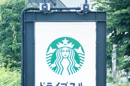 スタバの「新作ボトル」が反則級のかわいさ！ゆる～いアルパカの表情に癒されます《購入レビュー》