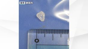 学校給食のラタトゥイユにプラスチック片が混入　1年生の児童が吐き出す　混入経路わからず=静岡