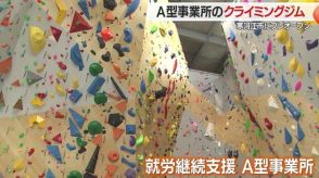 障害者スタッフが活躍「A型事業所」のクライミングジムが登場　日本最大級の高さ約17メートルの壁が特徴【山形発】