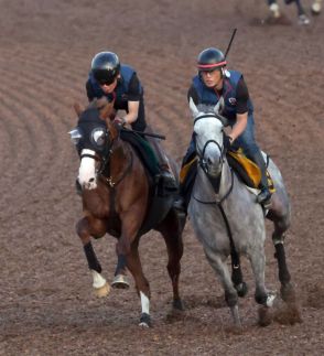 【今日の注目新馬】レッドソニード水準の動き　稽古は楽な手応えで３勝クラスと併入／福島５Ｒ