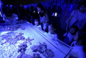 水生生物　ファンタジー　きょう開幕　サマーアクアリウム～あそべる光の水族館