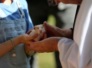 ペットへの愛が強すぎて「あるモノ」までグッズ化した飼い主⇒そのアイデアに「実寸大」「可愛すぎ」と反響