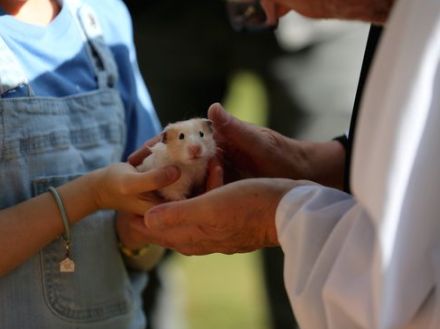 ペットへの愛が強すぎて「あるモノ」までグッズ化した飼い主⇒そのアイデアに「実寸大」「可愛すぎ」と反響