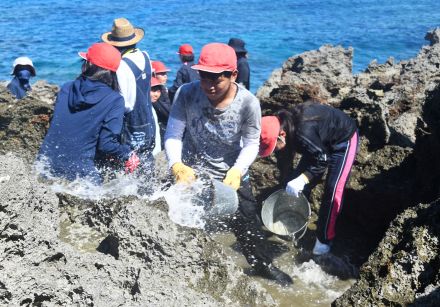 「汐干し」に挑戦　先人の苦労味わう　和泊町・国頭小