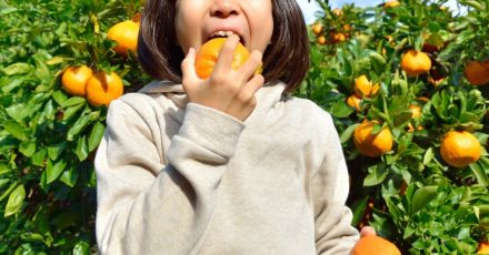 多くの人が驚愕…「みかんの主力産地」が「東北」になる日がやってくる