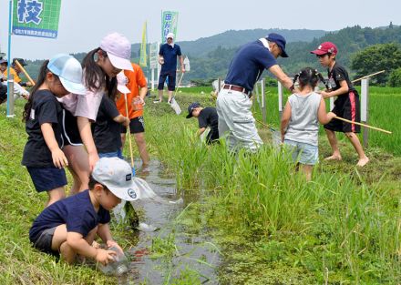 水辺の生き物見つけ歓声　有機農業推進協 田んぼの学校　一関【岩手】