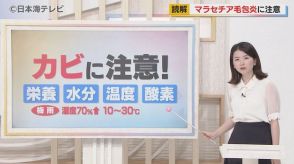 【読み解く】気温の高い梅雨に注意！　普通のニキビと区別が難しい“カビ”が原因で発症する「マラセチア毛包炎」とは？