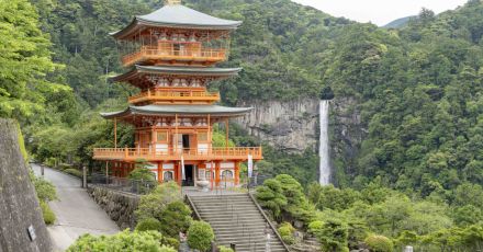 「ここは唯一無二の場所だ」熊野古道はなぜ人を魅了するのか…現地を訪れてわかったこと