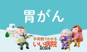 【胃がん内視鏡治療】病院ランキング2024年版・全国トップ40　2位は県立静岡がんセンター、1位は？