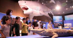 「毒モンスター水族館」展　宮崎市で開幕