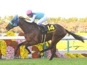 「6億円で0戦0勝」の馬も…セレクトセール“高額落札馬は走らない”は真実か？ 歴代トップ10の“意外なその後”「自分の値段以上に稼いだ馬は…」