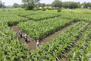 〝東北最大級〟ようこそ真夏の大迷宮へ　今回はナイトツアーも