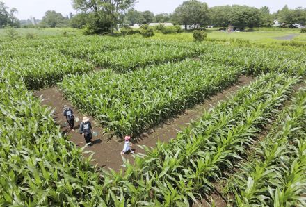 〝東北最大級〟ようこそ真夏の大迷宮へ　今回はナイトツアーも