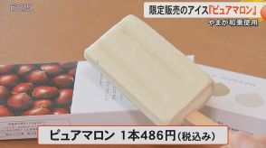 【1本なんと486円】クリの生産西日本1位の熊本・山鹿市で『やまが和栗』使ったアイス新発売 クリのうま味存分に