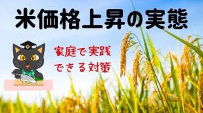 冷静に対応しよう！米価格上昇の実態と家庭で実践できる対策ガイド