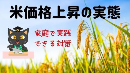 冷静に対応しよう！米価格上昇の実態と家庭で実践できる対策ガイド