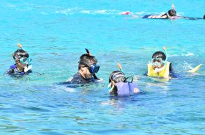 奄美の生物多様性を体感！　海の子留学生が自然探検ツアー　鹿児島県瀬戸内町