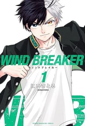 ヤンマガで話題のヤンキーマンガ『WIND BREAKER』。彼らが守るものは町の治安…新時代ヤンキーの魅力を解説【書評】