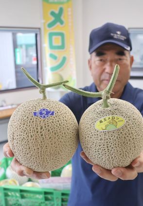 ずっしり甘い「竜王メロン」出荷ピーク　天候恵まれ出来上々、おいしい食べ方は？