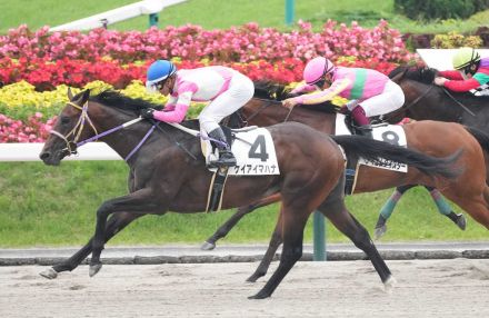 【福島新馬戦】ケイアイマハナ　叩き合い制した!戸崎は伸びしろに期待「乗り味はよかった」