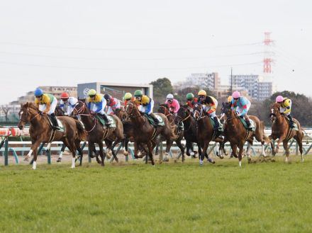 WIN5は3000万円超の払戻し…函館記念はホウオウビスケッツが快勝