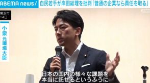 自民若手が岸田総理大臣を批判 「普通の企業なら責任を取る」