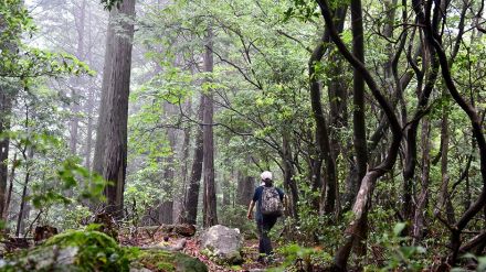 童話の世界の登山道、本格登山楽しめる低山「岳山」岐阜・七宗町　地元集落に愛される山