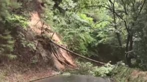 道路脇の木が倒れ道路ふさぐ　引き続き大雨に警戒を　広島