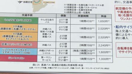 「ジャングリア」開業で道路混雑も予想　やんばるの新たな玄関口となる交通ターミナルを検討