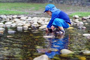 トウモロコシと間違って食べてしまう人も　河川敷に自生する有毒植物の誤食事故に注意喚起