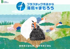このウミネコ、どこがおかしいか気づいた？「日本野鳥の会」公開の写真が伝えるプラごみの被害