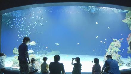 海の日スケッチ①　マリホ水族館「最後の夏」に家族連れ　広島