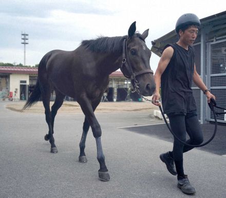 【札幌新馬戦】テリオスララ　兄2頭に続け！田島師「思いのほか早く仕上がった」