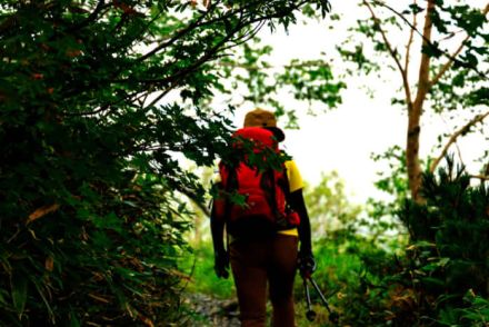 遭難に至る道は、すぐそこに潜んでいる――身近な低山でも起きている山岳遭難のリアル