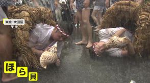 「夏が始まる」わらに巻かれほら貝吹きびしょ濡れ…700年続くずぶ濡れ“奇祭”　神奈川・茅ヶ崎では40の神輿が海の中へ