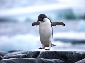 「Linux 6.10」カーネルが正式リリース