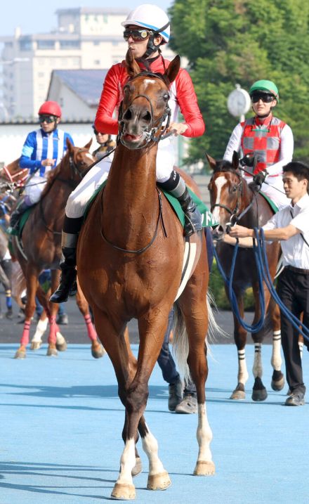 【注目馬動向】函館２歳Ｓ３着のエンドレスサマーは小倉２歳Ｓやシンガポールターフクラブ賞などが選択肢に