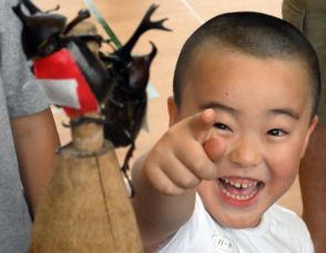 どっちが勝つかな?　かぶと虫相撲大会、384人の子供が熱戦　山形
