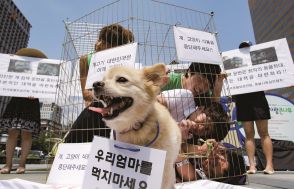 大統領も愛犬家！　韓国で「犬肉食」禁止へ...紀元前からの伝統も2027年で終わりに