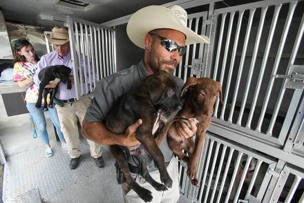 生後2日で母を亡くした子犬を託したのは意外な親子　保護施設の試みに感動の声「とても美しい物語」【米】