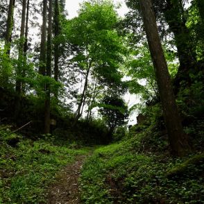 根城で「門前払い」された城主　強大勢力の狭間で生きた“国衆“と長篠の戦い〈愛知・武節城〉