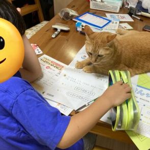 連日、猫に邪魔され続ける小1息子　国語の課題で書き始めた一文に「末恐ろしい……」「尊い」