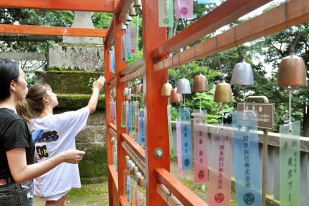 そよ風に奏でる涼音　佐野の唐澤山神社で風鈴参道　来月25日まで700個響き合う