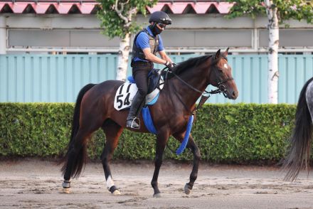 ゾンニッヒに勝負気配　入念に調整進め「状態はキープ」山下助手／しらかばＳ