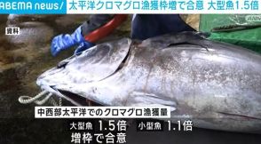 太平洋クロマグロ漁獲枠増で合意 大型魚は1.5倍