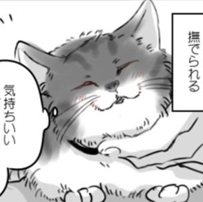 【ネコ漫画】保護された野良猫の変化に「うちの子もそうだった」と共感の嵐！野良猫と飼い主の絆ストーリーとは!?【作者に聞く】