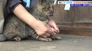 家にネコ60匹!　多頭飼育崩壊　捕獲の現場に密着