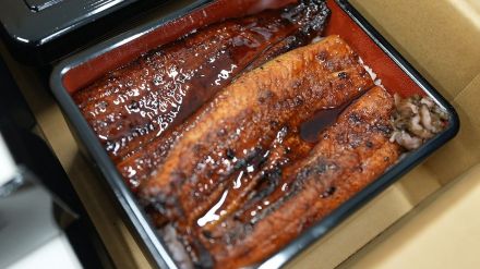 ウナギ好きに朗報！　人工稚魚の大量生産が可能に　年間4万～5万匹